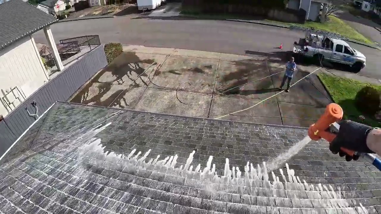 Mossy Roof & Moldy Driveway - Properly Treated and Cleaned