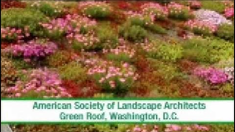 EPA Storm Water Runoff Video