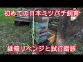 前回失敗した継箱、衝撃のその理由…防護服が届いたのでリベンジ、養鶏場で2郡目捕獲、飼育箱設置に試行錯誤【養蜂】