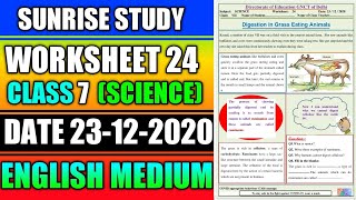 Worksheet no. 24 ONLY ANSWERS Date 23-DEC-2020 Class 7 th Sub :-  SCIENCE ( ENGLISH MEDIUM) DOE