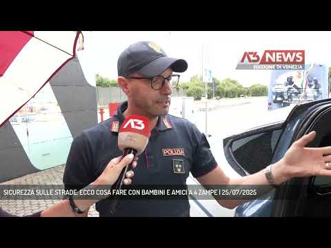 SICUREZZA SULLE STRADE: ECCO COSA FARE CON BAMBINI E AMICI A 4 ZAMPE | 25/07/2025