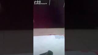 A Prima Parte 2 Priminha Dançando