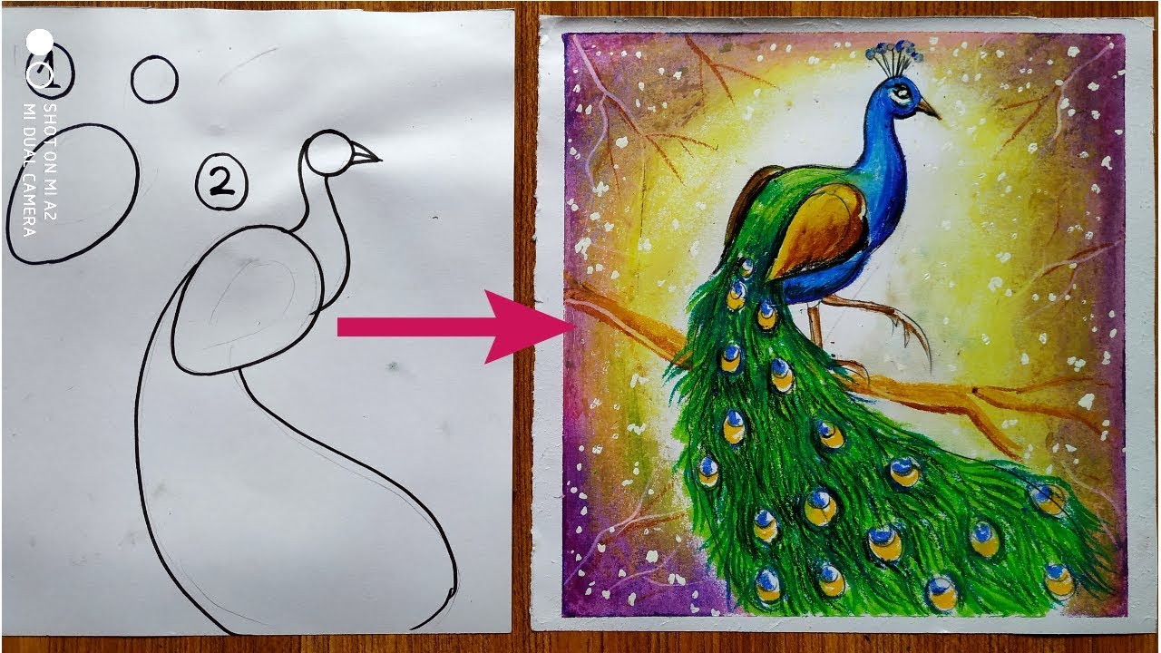 how to draw a peacock step by step in easy method drawing for kids