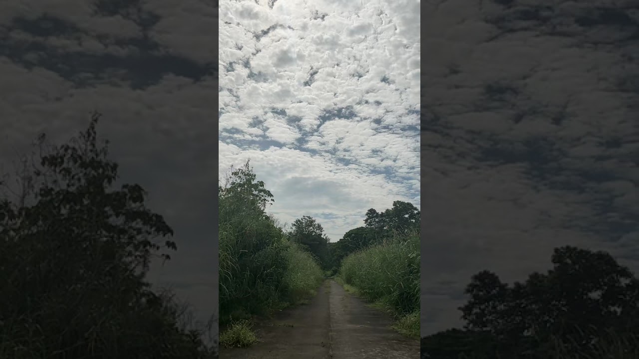 Jogging as a way of healthy lifestyle