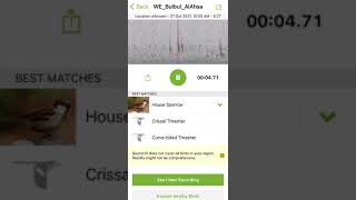 Attention Birders in the Middle East! Merlin Sound ID needs your help! screenshot 5