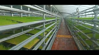 Inside a Million-Dollar Automated Stable Fodder System | Hydroponic Feed Factory