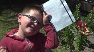 Kid Experiments: Explorers Kit | Te Reo Māori | Darwin and Newts