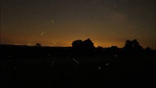 Lightning Bugs Time Lapse