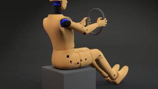 3D Model Crash test dummy at 3DExport.com