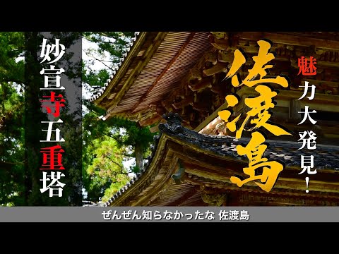 【 魅力発見！佐渡島 】行かないと損！旅行好きが紹介する「海と山に囲まれた日本の隠れた宝石島」  名所 夏の妙宣寺五重塔