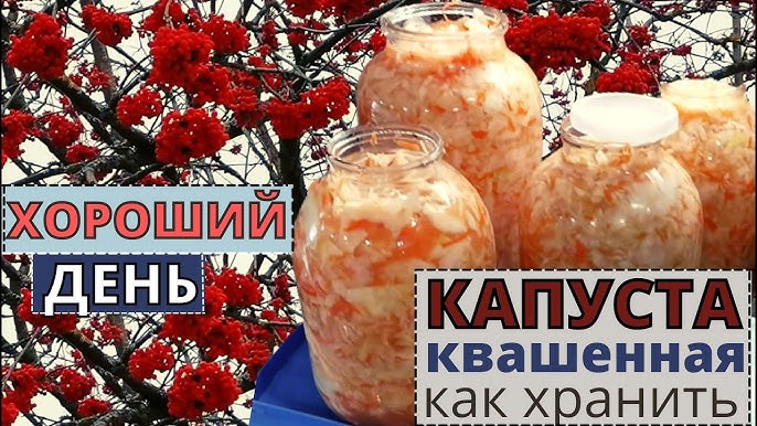 Как сохранить капусту на зиму в банках. Как сохранить капусту на зиму в банках