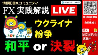 外為どっとコム 公式FX動画chの配信のサムネイル画像