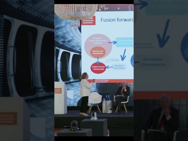 María Teresa Domínguez: It´s time to protect fusion energy