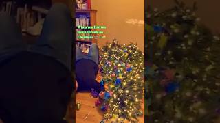 Funny Christmas fails compilation