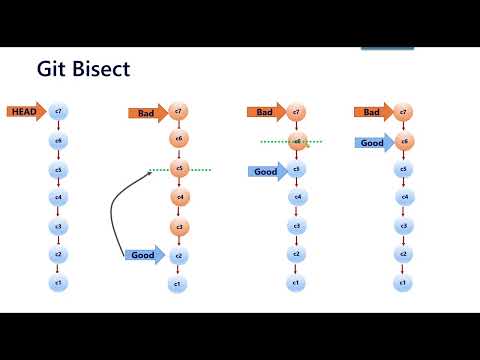 Utiliser Git Bisect