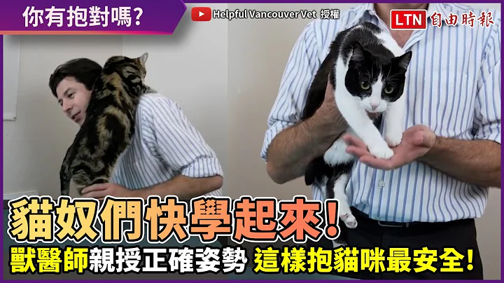 猫奴们别再抱错了！兽医师亲授抱猫的正确姿势 这些要点要注意！ - 天天要闻