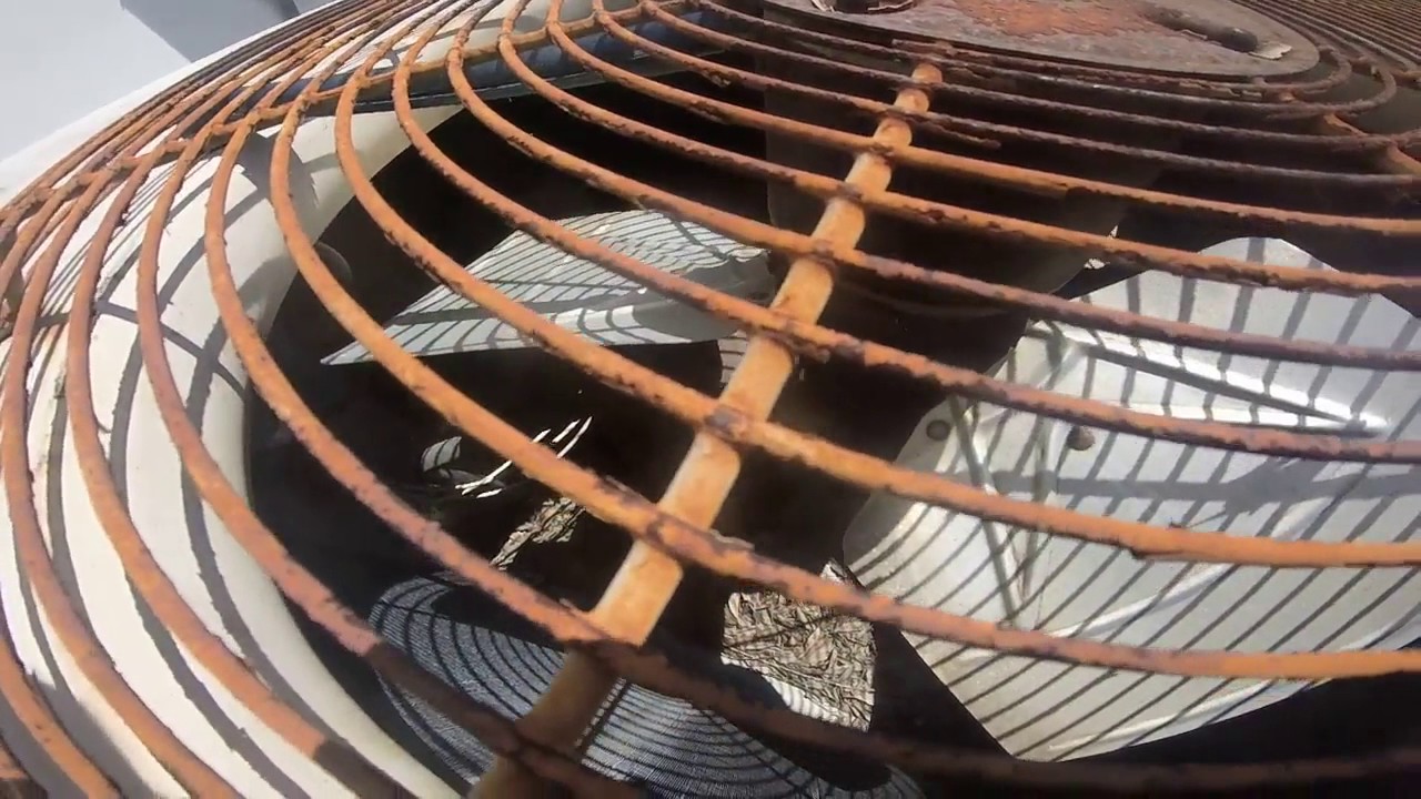 1999 Carrier 3.5 Ton Central Air Conditioner, u0026 Several Other Units  Running! - YouTube