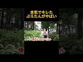 本気でキレたぷろたんがヤバい#ぷろたん