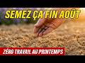 SEMEZ LA PHACÉLIE EN AOÛT! Votre sol se régénère seul pendant l'hiver — sans rien faire.