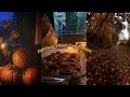 Cozy Fall Halloween Tiktok Compilation