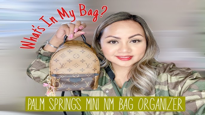  Bag Organizer for LV Palm Springs Mini Backpack