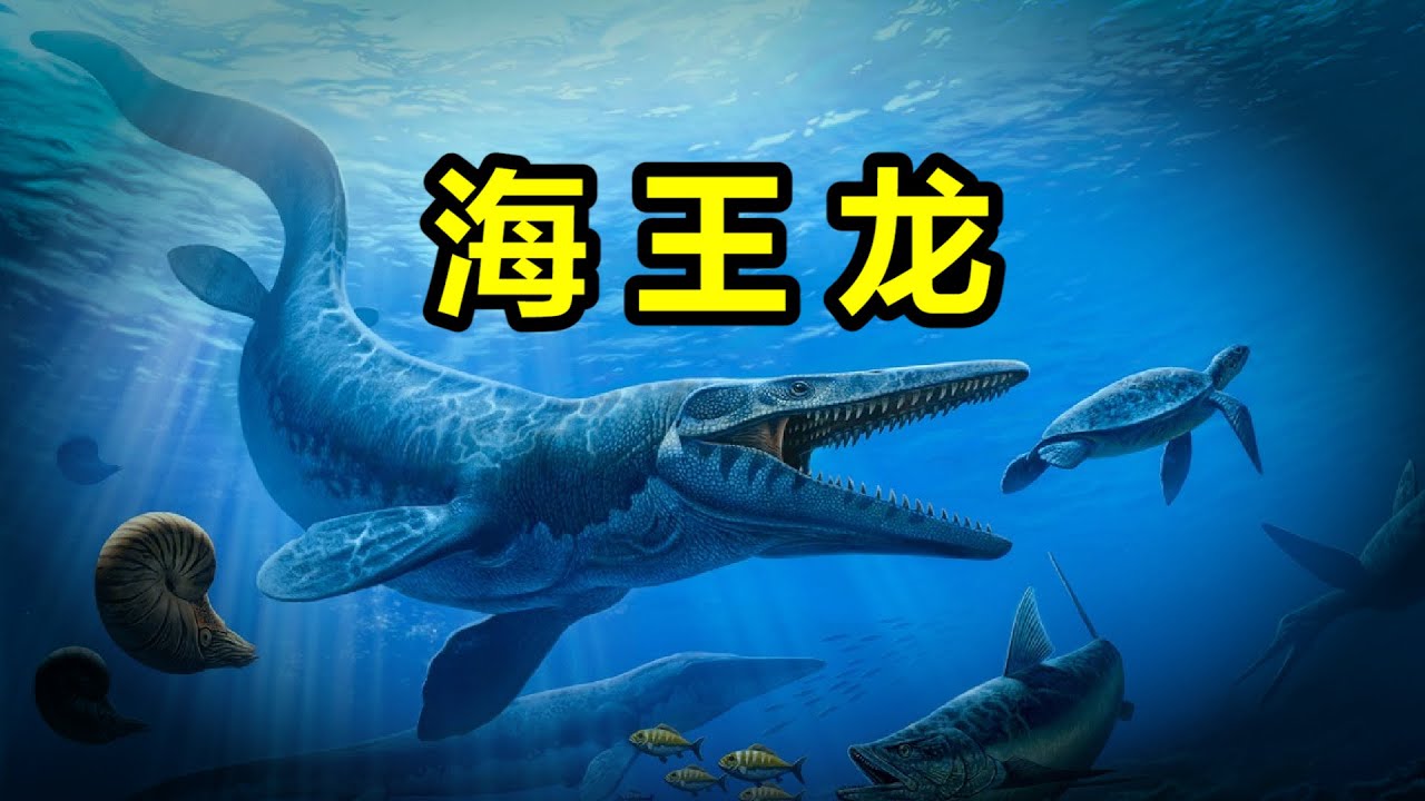 海王龍的崛起:開局一條鯤,進化全靠吞 - YouTube
