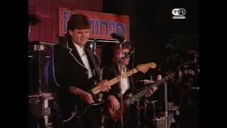 Streaplers, Flamingokvintetten, Arvingarna - Lördagsdansen (Live 1993)