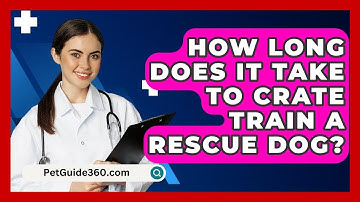 How Long Does It Take to Crate Train a Rescue Dog? - PetGuide360.com