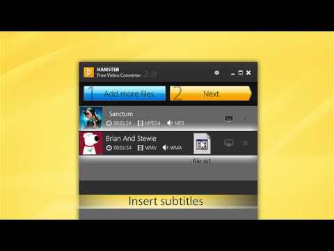 Hamster Free Video
