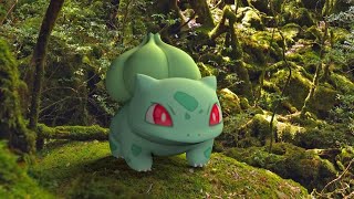 Bulbasaur, Ivysaur & Venusaur IN REAL LIFE - The World Of Pokémon