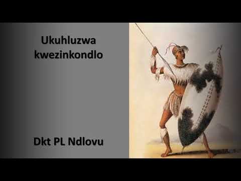 Ukuhluzwa kwenkondlo IsiZulu Philani Lithandane Ndlovu