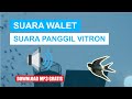 SUARA PANGGIL WALET VITRON MP3