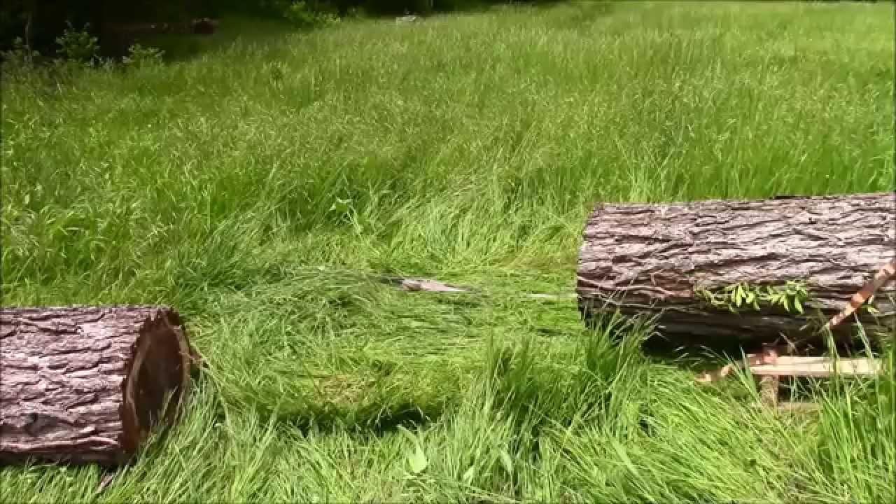 Milling Walnut With The Logosol Timberjig Chainsaw Mill Pt 3 YouTube