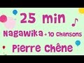 Capture de la vidéo Pierre Chêne - 25 Min De Musique - Nagawika Et 10 Autres Chansons