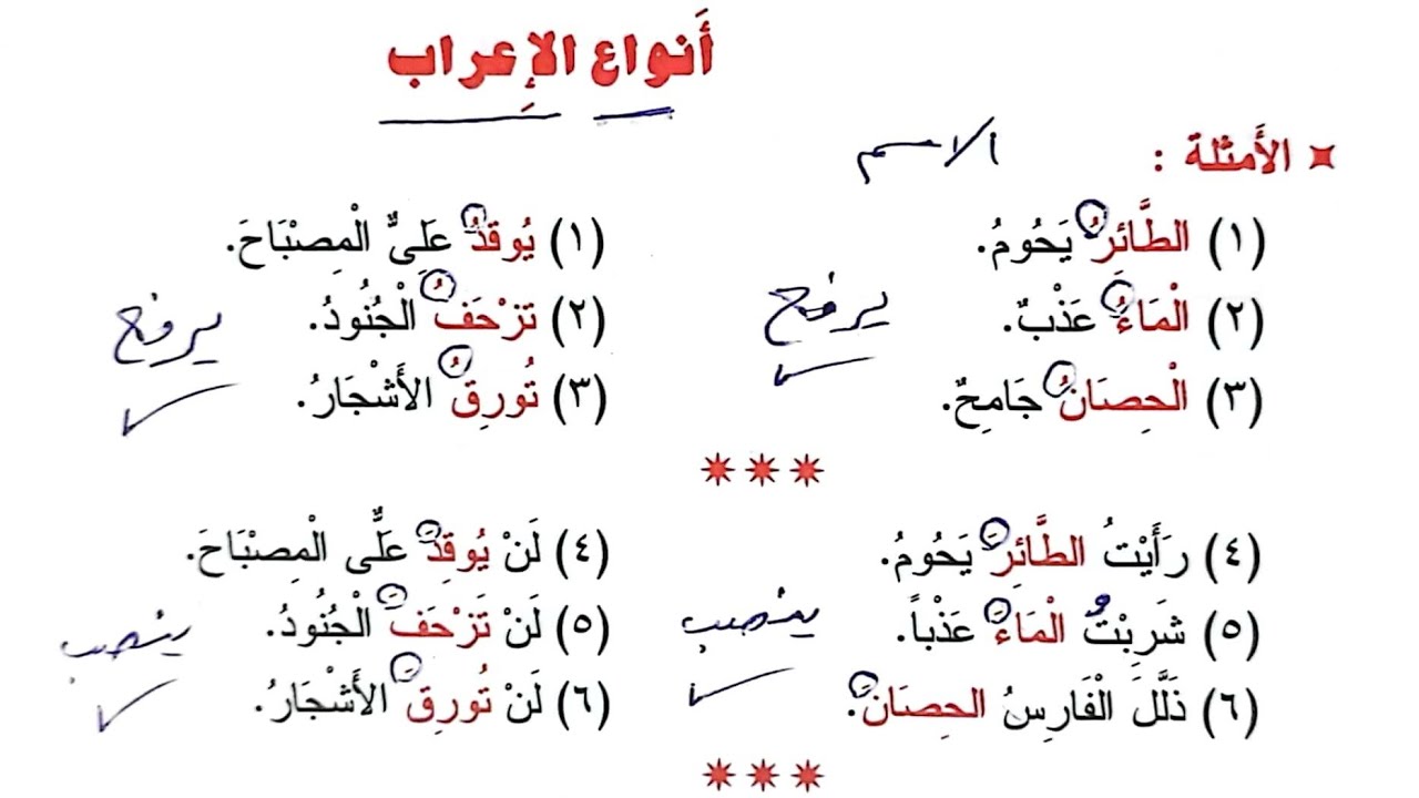 النحو الواضح - 19 - أنواع الإعراب