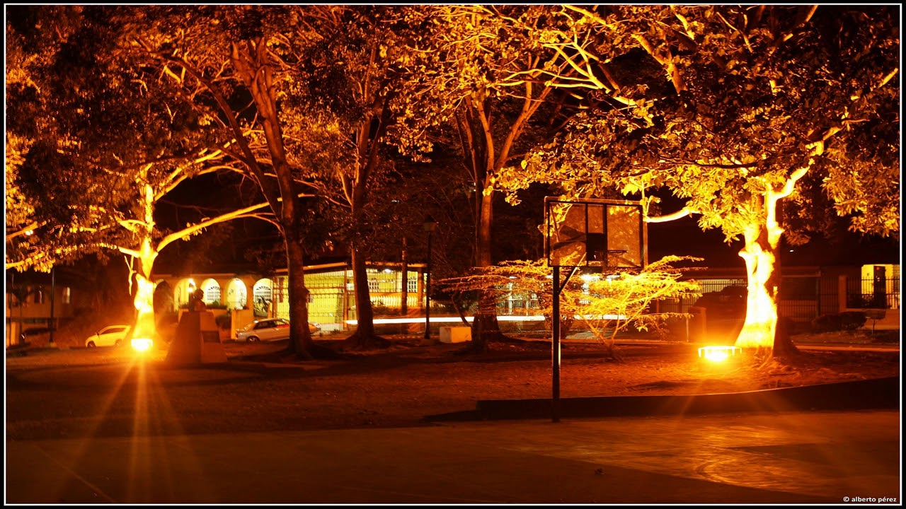 Signal & Disprove - Zwendel (ft. Ordure)