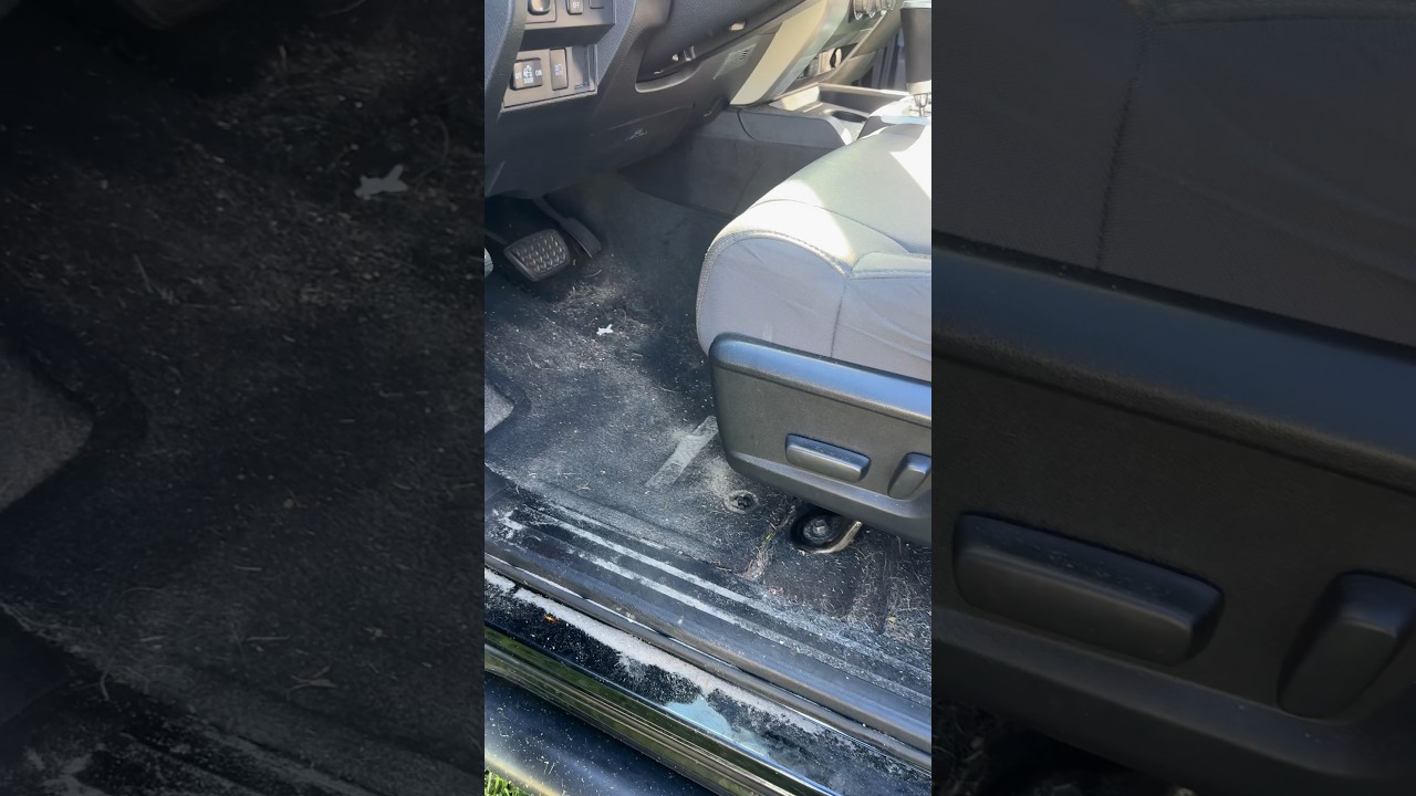 The Tundra in the Taiga 🥶 