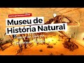 MUSEU DE HISTÓRIA NATURAL DO ZOOPARQUE ITATIBA: SP PARA CRIANÇAS FAZ PASSEIO AO VIVO