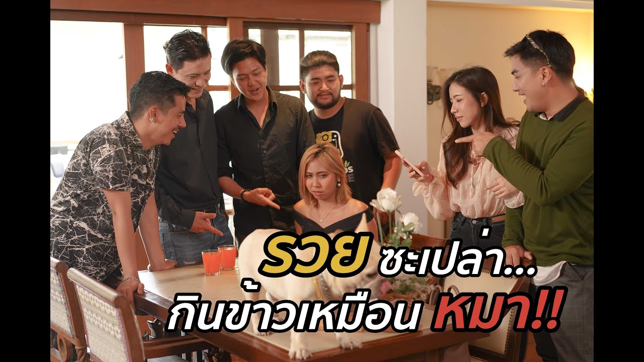 นำสัตว์เลี้ยงเข้ามาในร้านอาหารทำไม!!! | เนื้อหาที่เกี่ยวข้องนำ เข้า อาหารที่สมบูรณ์ที่สุด