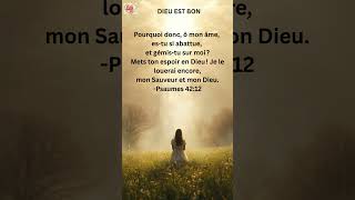 Psaumes 42:12|Pourquoi donc ô mon âme es-tu si abattue et gémis-tu sur moi  Mets ton espoir en Dieu