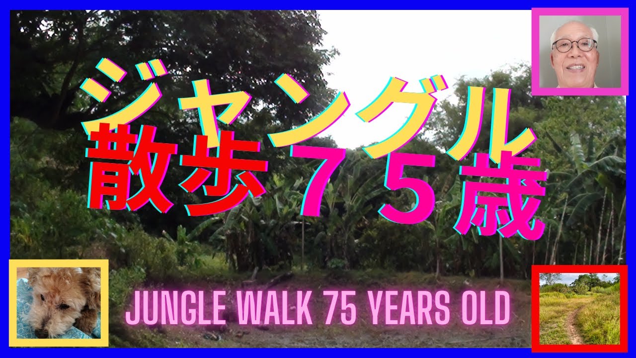 ジャングル散歩７５歳　Jungle Walk 75 years old