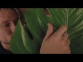Asmr with the big green leaf no talking layered and looped
