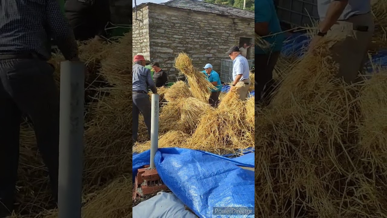 FESTA DA MALLA EN NOCEDA (CAUREL)