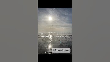 Long walk for some field recordings