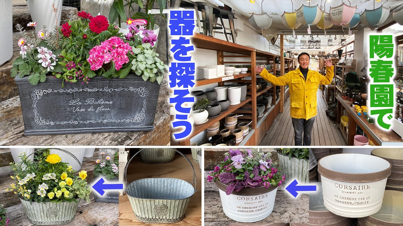【陽春園】店内の鉢売り場をご案内！さまざまな素材の器と雑貨で季節の寄せ植えを楽しむ【ガーデニング】