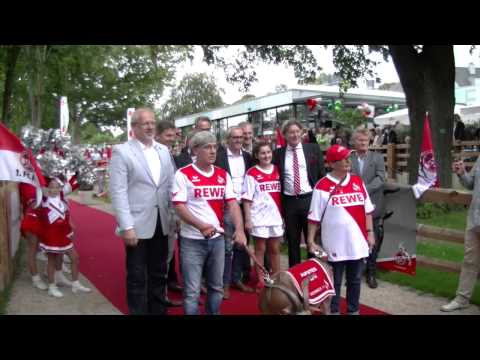 FC Hennes der VIII zieht um in den Kölner Zoo