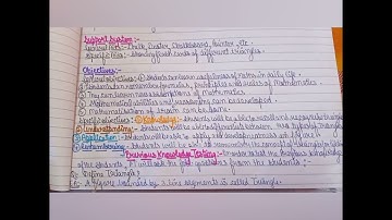 B.Ed Third sem..lesson plan of mathematics...topic- Similar triangles