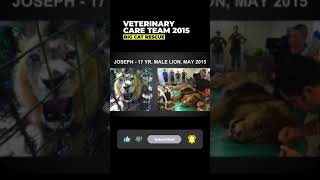 Vet Care Presentation By Dr. Boorstein~Part 46 Of 59