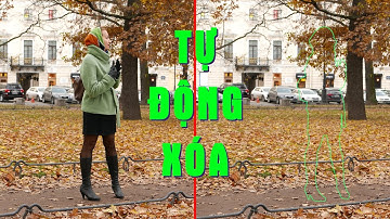 HƯỚNG DẪN XÓA ĐỐI TƯỢNG TRONG VIDEO DÙNG TRÍ TUỆ NHÂN TẠO AI PHÂN TÍCH