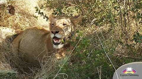 EXCEL 8 Module 1 Nature